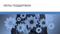 ПОДДЕРЖКА СУБЪЕКТОВ МСП В УСЛОВИЯХ ВНЕШНЕГО САНКЦИОННОГО ДАВЛЕНИЯ