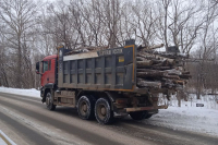 #МЫВМЕСТЕ: семьи военнослужащих СВО, проживающих в Мичуринском поселении обеспечат дровами на зиму