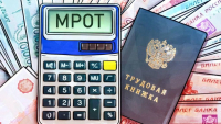 О минимальном размере оплаты труда в 2023 - 2024 гг.