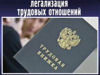Меры по легализации трудовых отношений