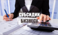 Результаты рассмотрения предложений на получение субсидии из бюджета Хабаровского муниципального района Хабаровского края