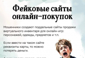Советы  по  предупреждению использования фейковых сайтов в сети интернет