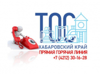О предоставлении ежеквартальных отчётов по реализации проектов ТОС расскажут представители комитета по внутренней политике Правительства края