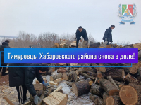 Тимуровцы Хабаровского района снова в деле!