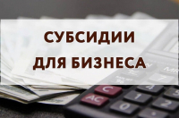 Порядок предоставления субсидий из бюджета Хабаровского муниципального района Хабаровского края на возмещение части затрат субъектам малого и среднего предпринимательства, понесенных в связи с производством, реализацией товаров, выполнением работ, оказанием услуг, занимающихся приоритетными видами деятельности