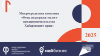 Программы поддержки субъектов предпринимательства МК 